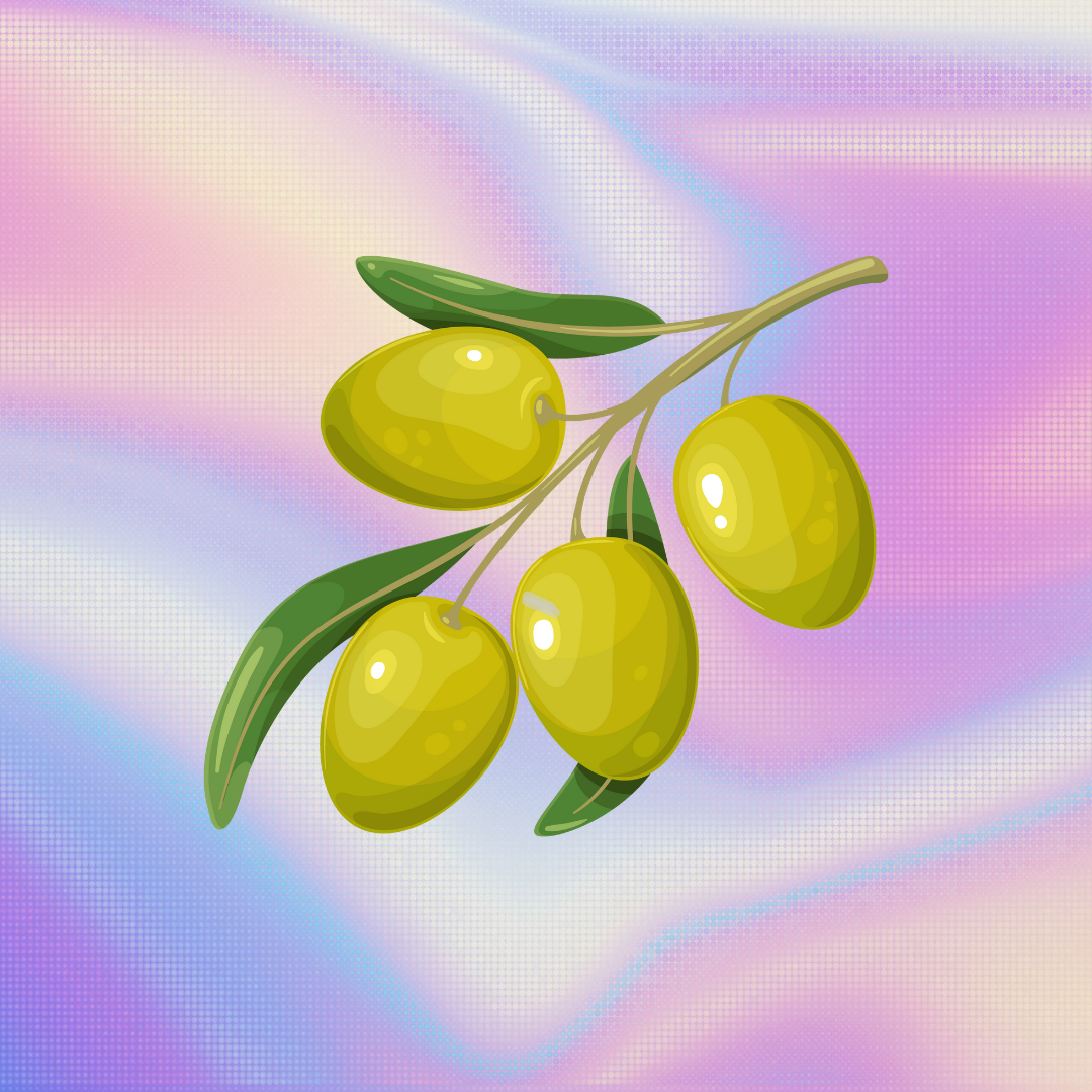 OLIVA